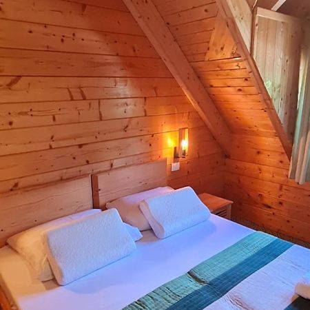 Apartments Plitvice Forest 科雷尼察 外观 照片